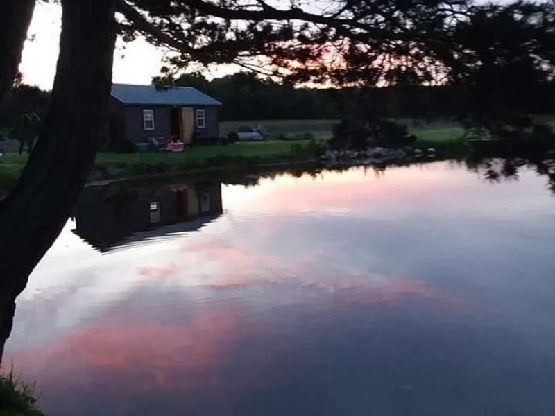 Firestone Road, Homerville, OH 44235 Photo 1