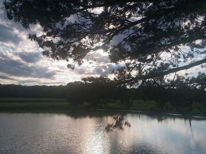 Firestone Road, Homerville, OH 44235 Photo 3