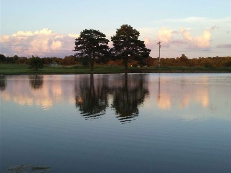 Firestone Road, Homerville, OH 44235 Photo 4