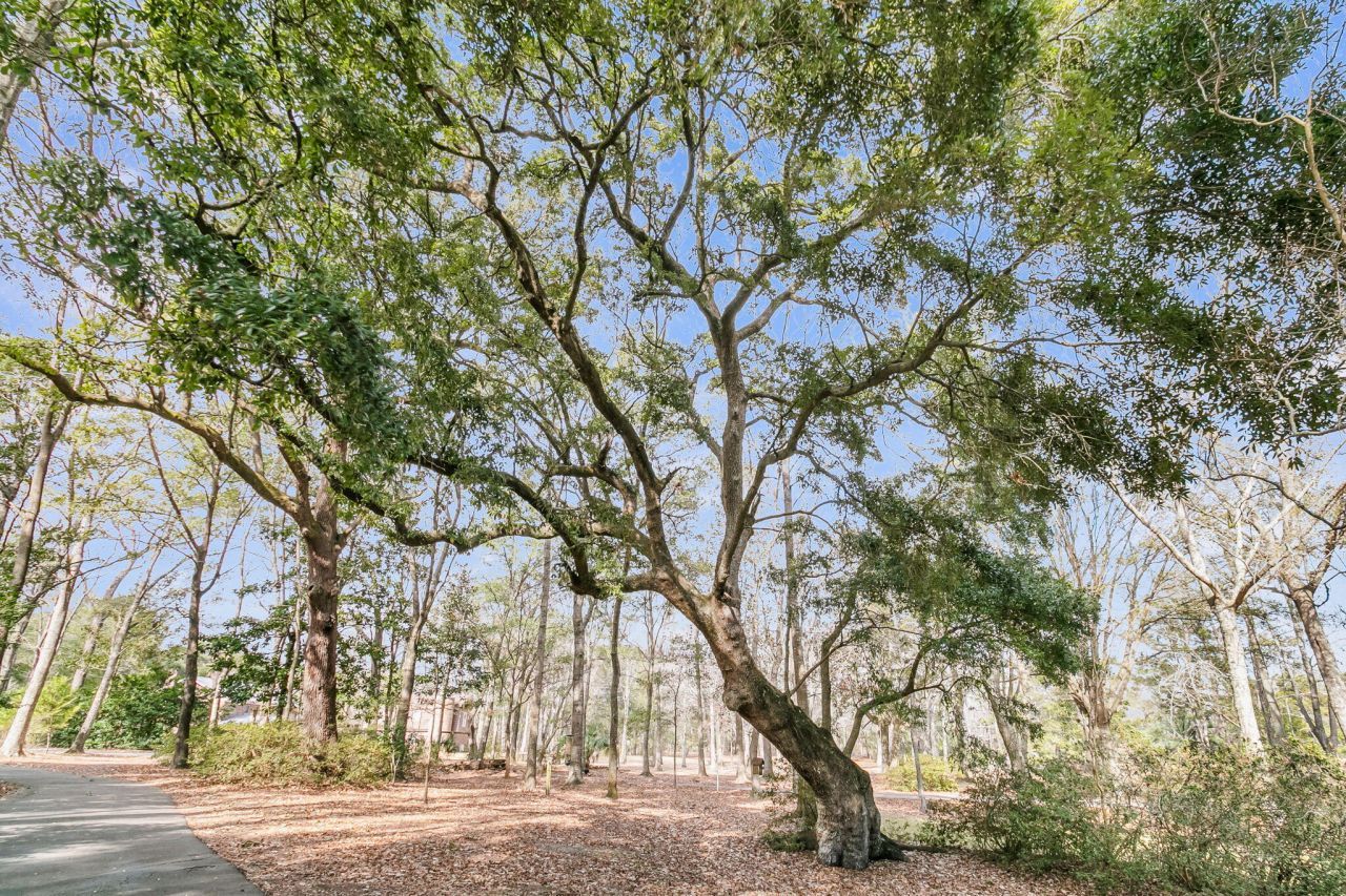 1222 Chandler Road Photo 59