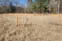 4011 Baldwin Road  photo 4