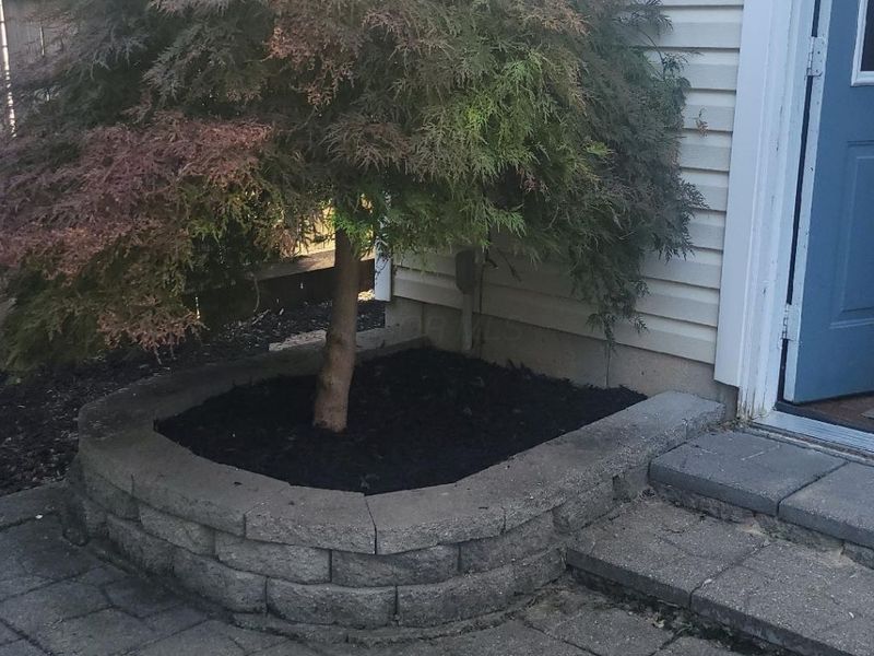 250 N 21st Street , Columbus, OH 43203 Photo 7