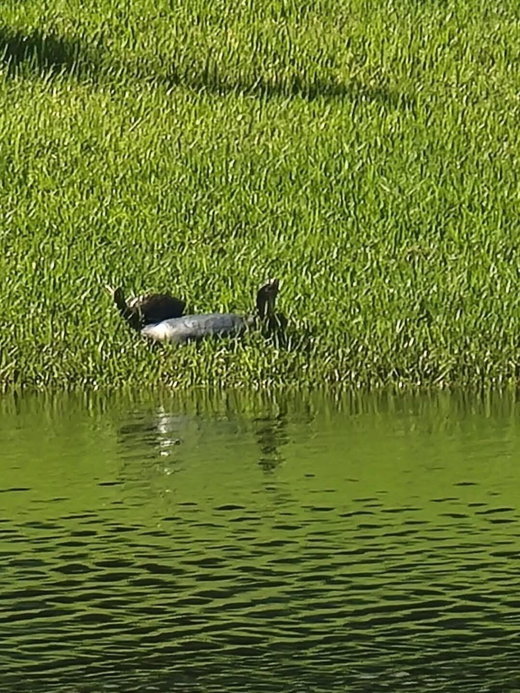 12127 SW Jasper Lake Way, Port Saint Lucie, FL 34987 Photo