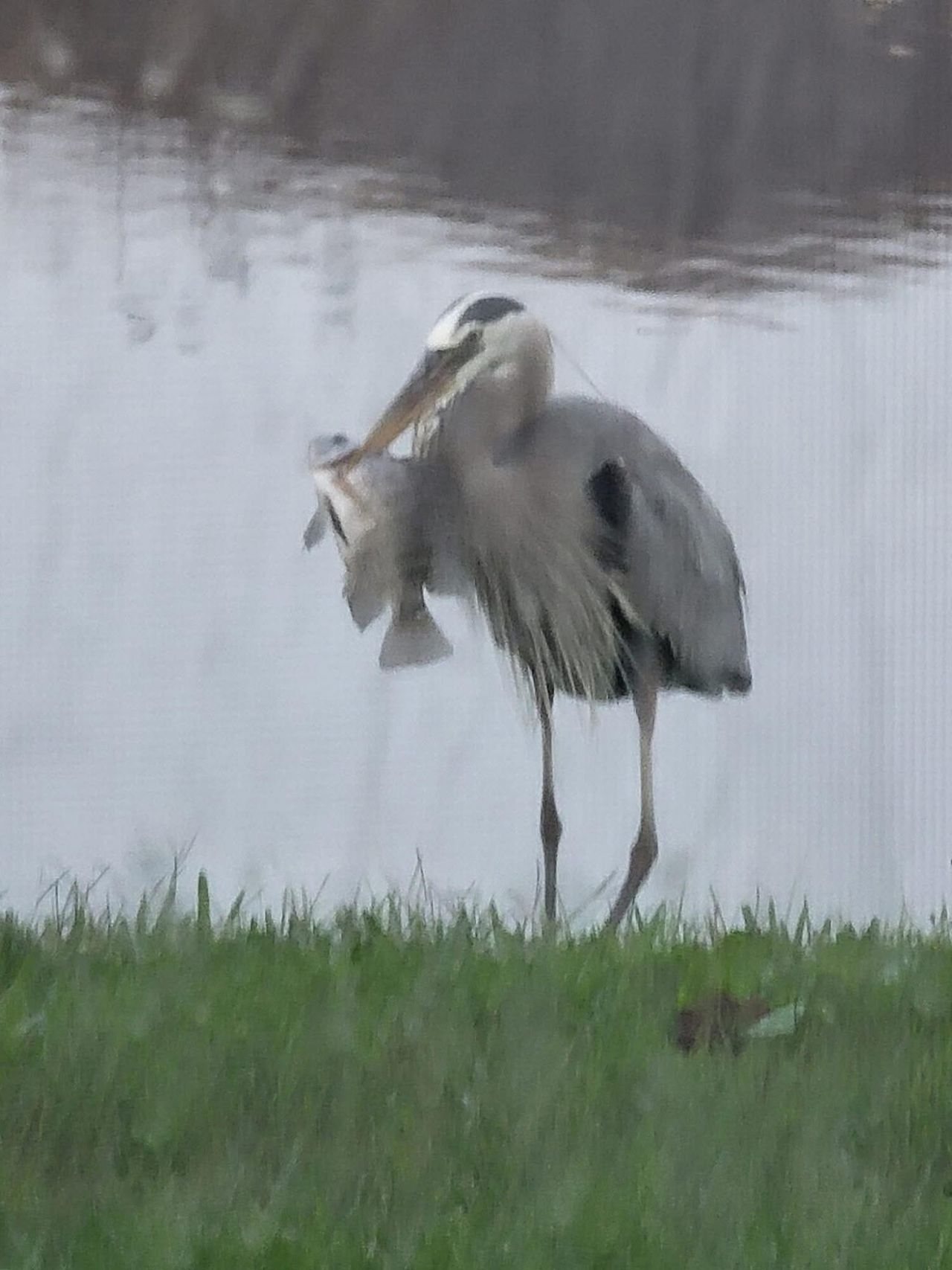 12127 SW Jasper Lake Way, Port Saint Lucie, FL 34987 Photo