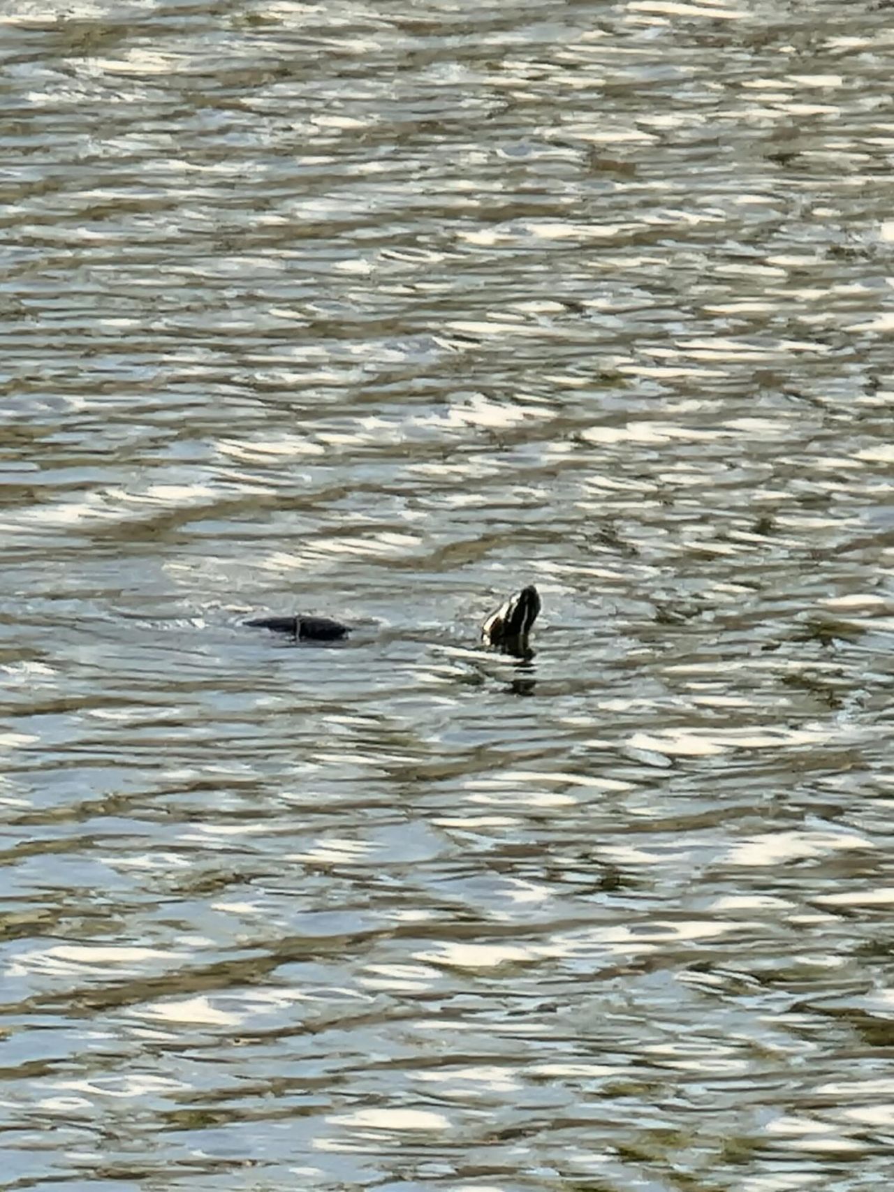 12127 SW Jasper Lake Way, Port Saint Lucie, FL 34987 Photo