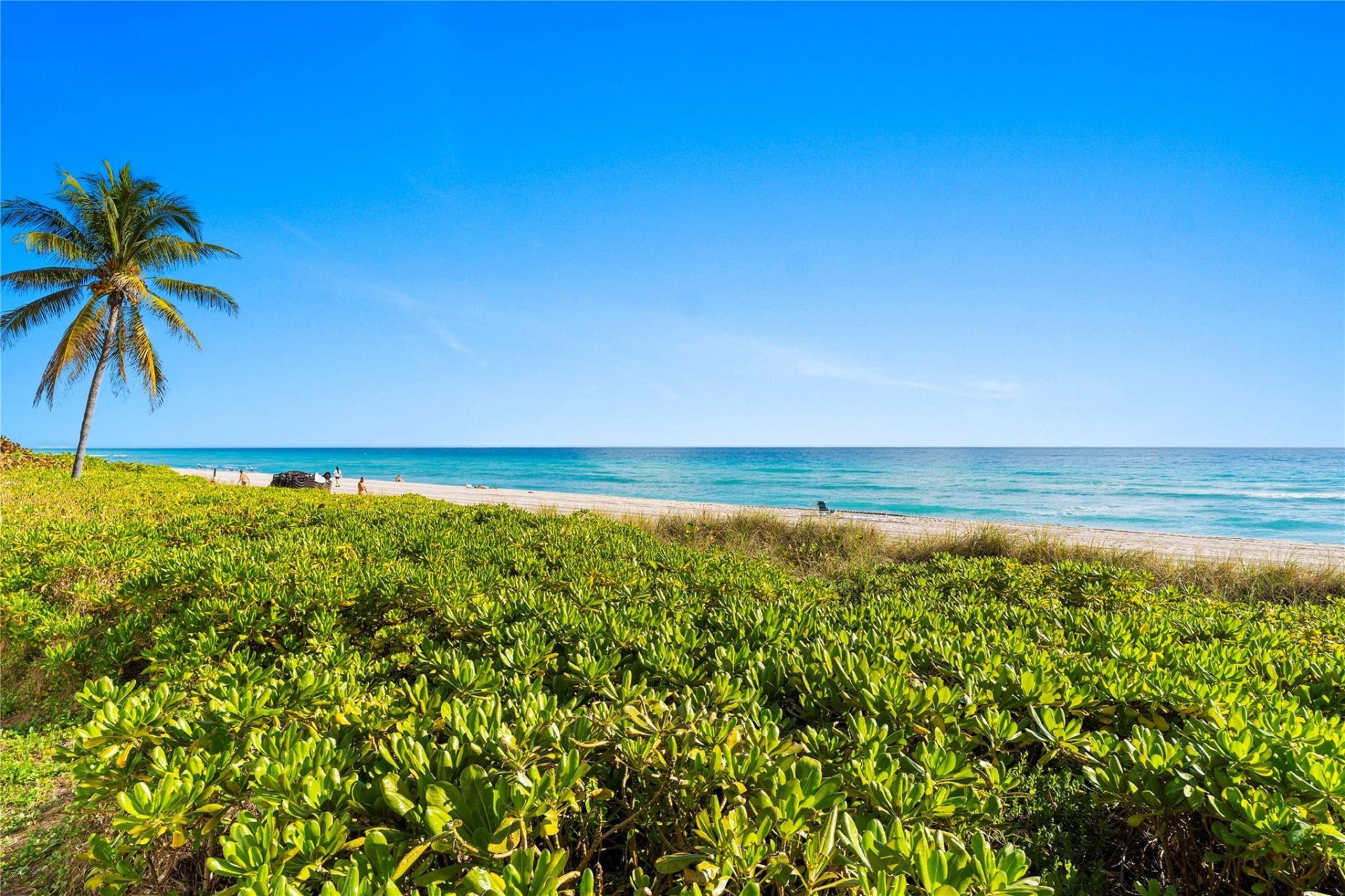 1920 S Ocean Dr, Unit 11B, Hallandale Beach, FL 33009 Photo