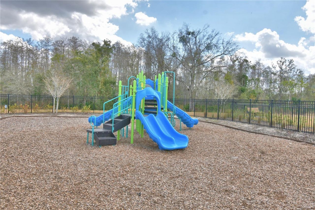 3811 Sepia Street, Kissimmee, FL 34758 Photo