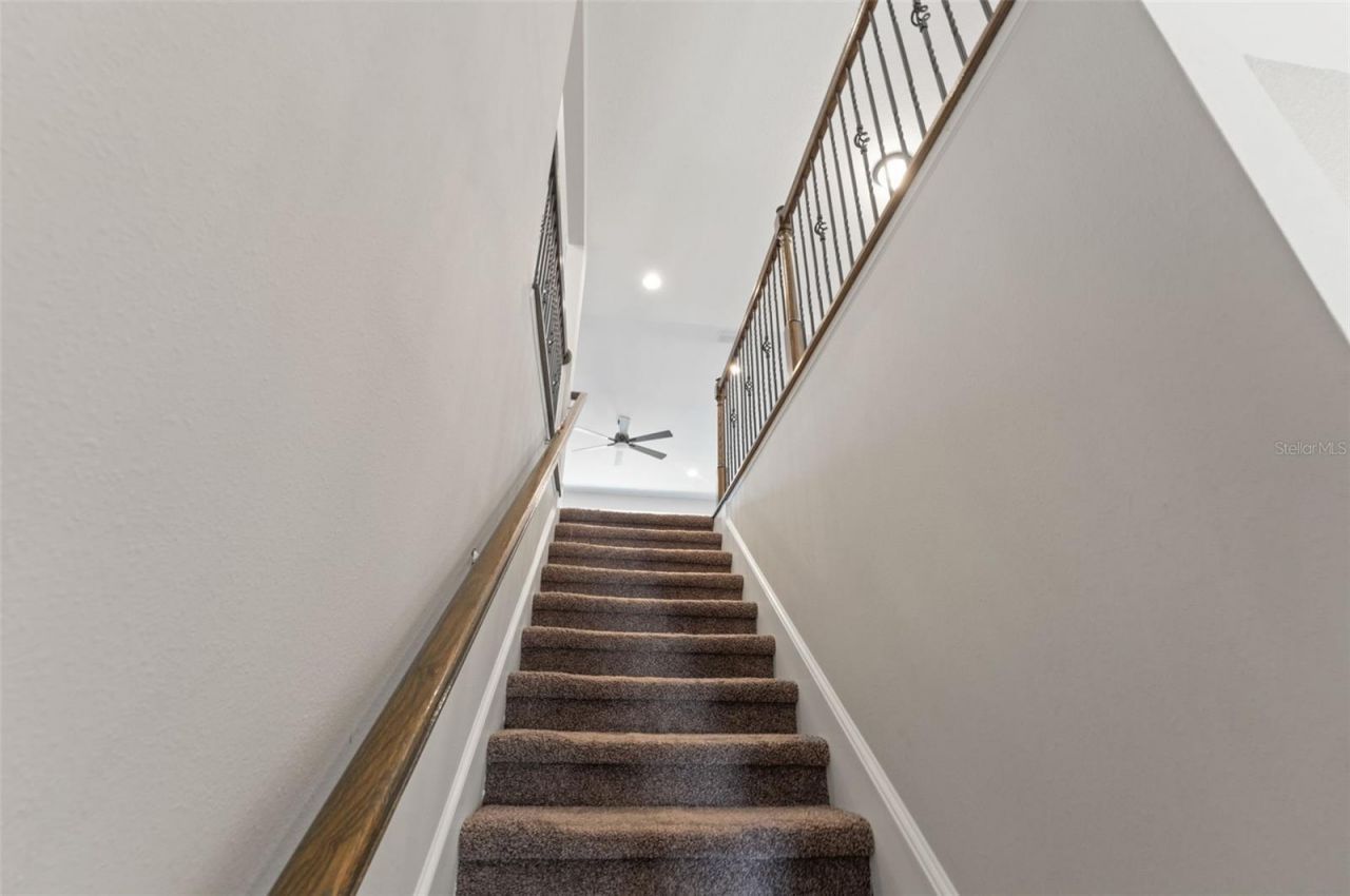 19324 E Eagle Creek Lane Lane, Tampa, FL 33647 Photo