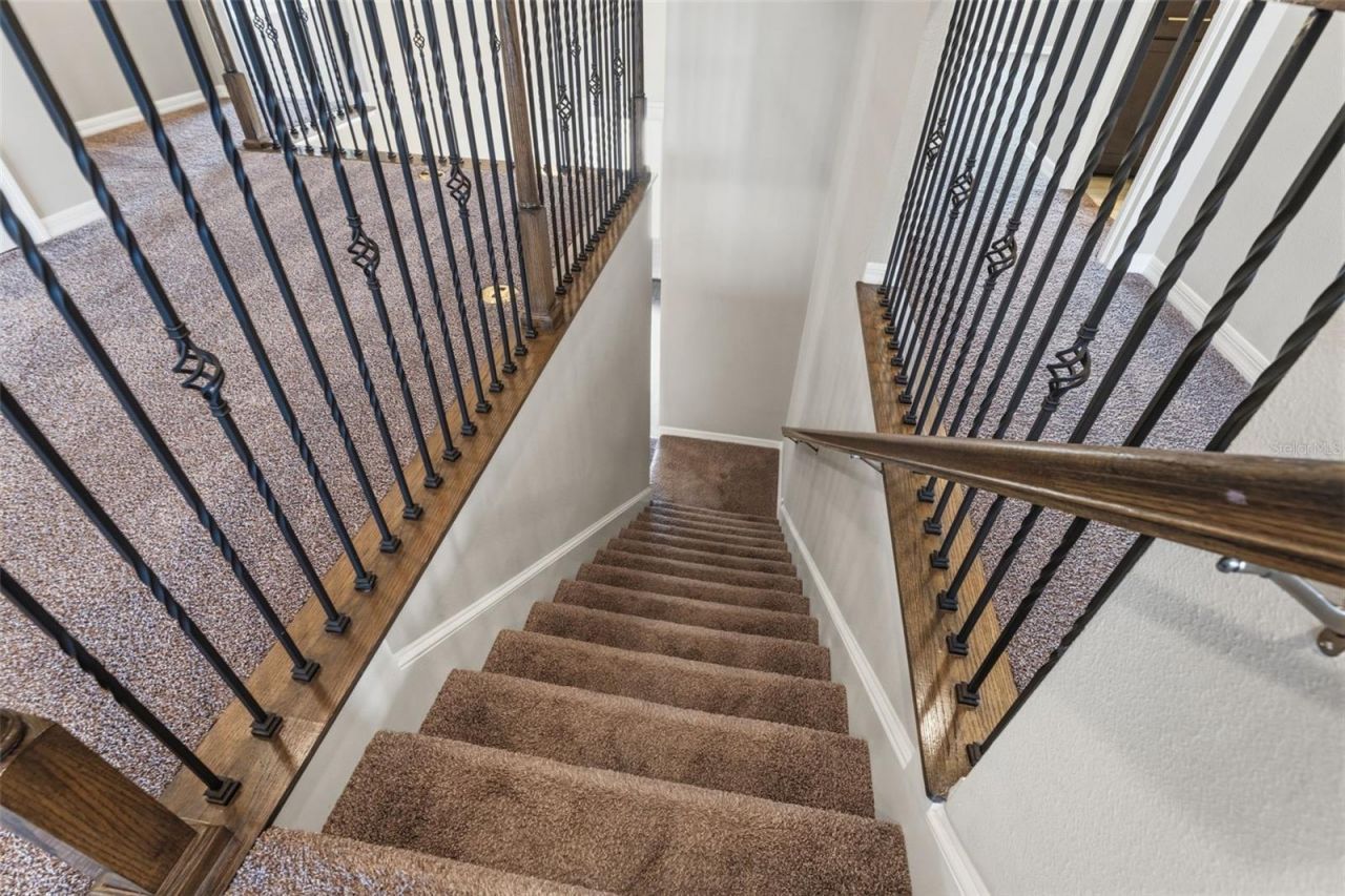 19324 E Eagle Creek Lane Lane, Tampa, FL 33647 Photo