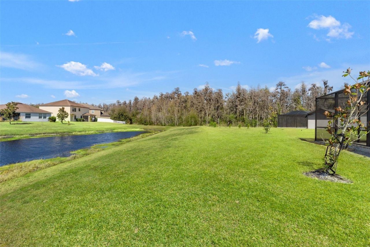 19324 E Eagle Creek Lane Lane, Tampa, FL 33647 Photo