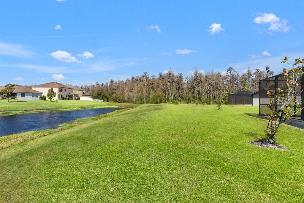 19324 E Eagle Creek Lane Lane, Tampa, FL 33647 Photo