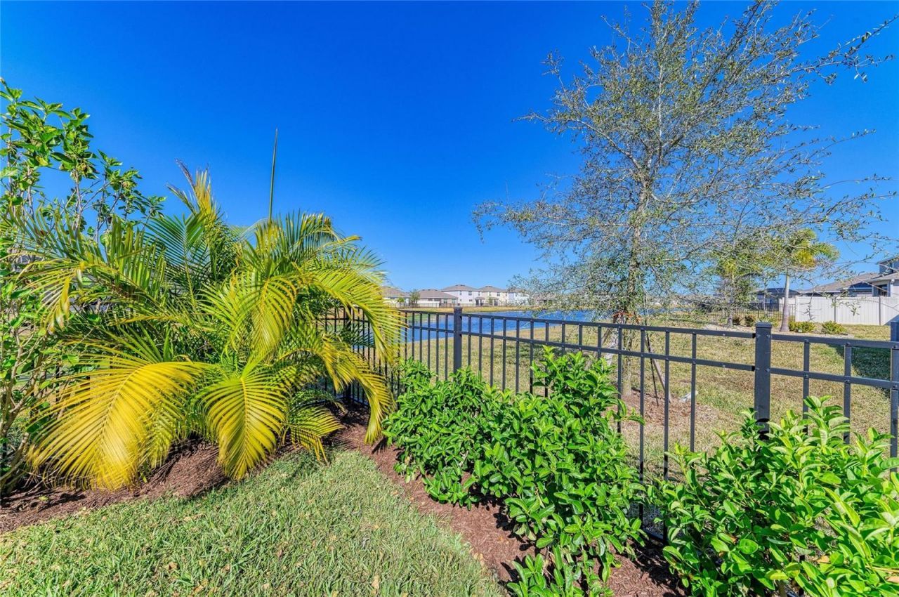 17719 Cantarina Cove, Bradenton, FL 34211 Photo