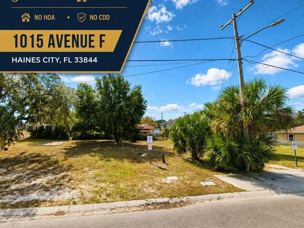 1015 AVENUE F, HAINES CITY, FL 33844