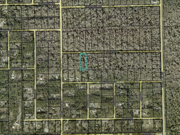 3853 APPLE AVENUE, BUNNELL, FL 32110