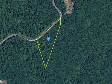 1991 MOSS MEADOWS DRIVE, HUDDLESTON, VA 24104