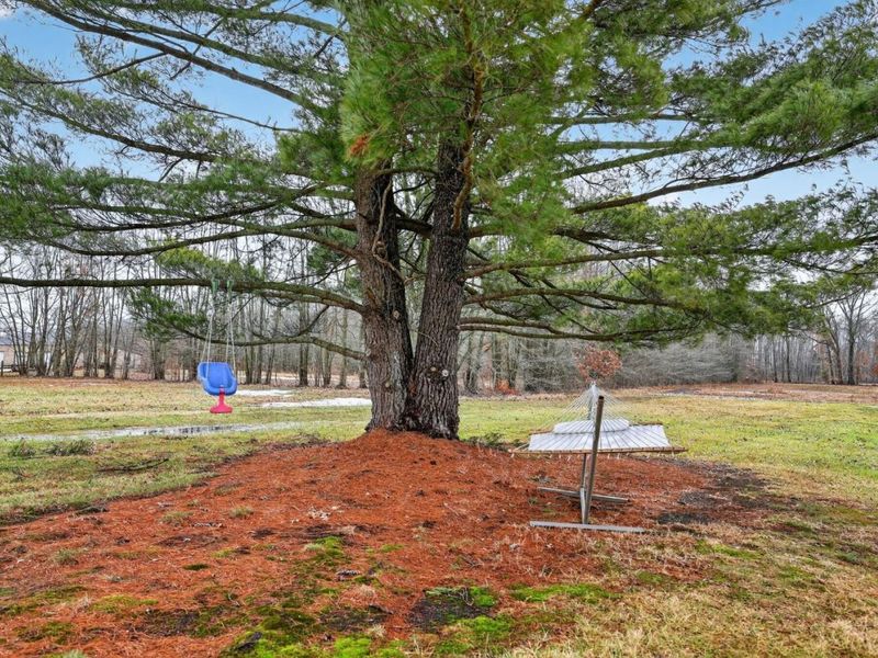 4488 Bardwell Buford Road, Green Township, OH 45154 Photo 22