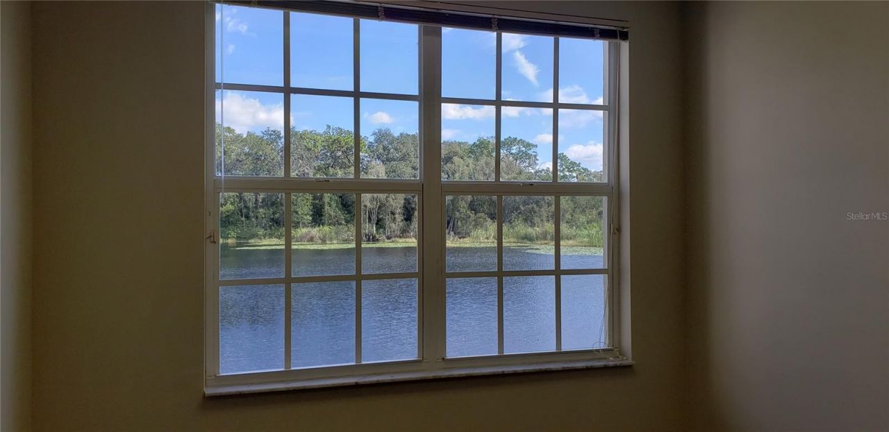 16013 N Florida Avenue, Lutz, FL 33549 Photo