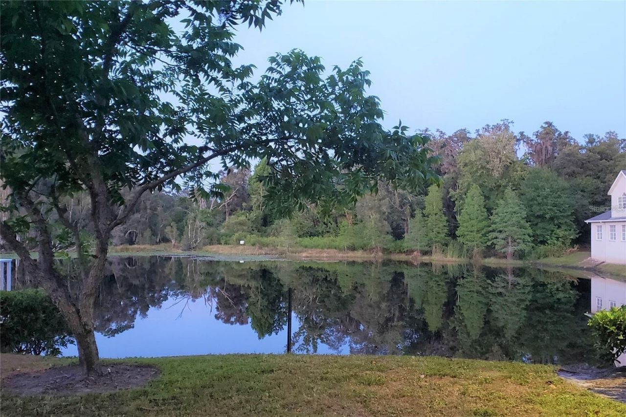 16013 N Florida Avenue, Lutz, FL 33549 Photo