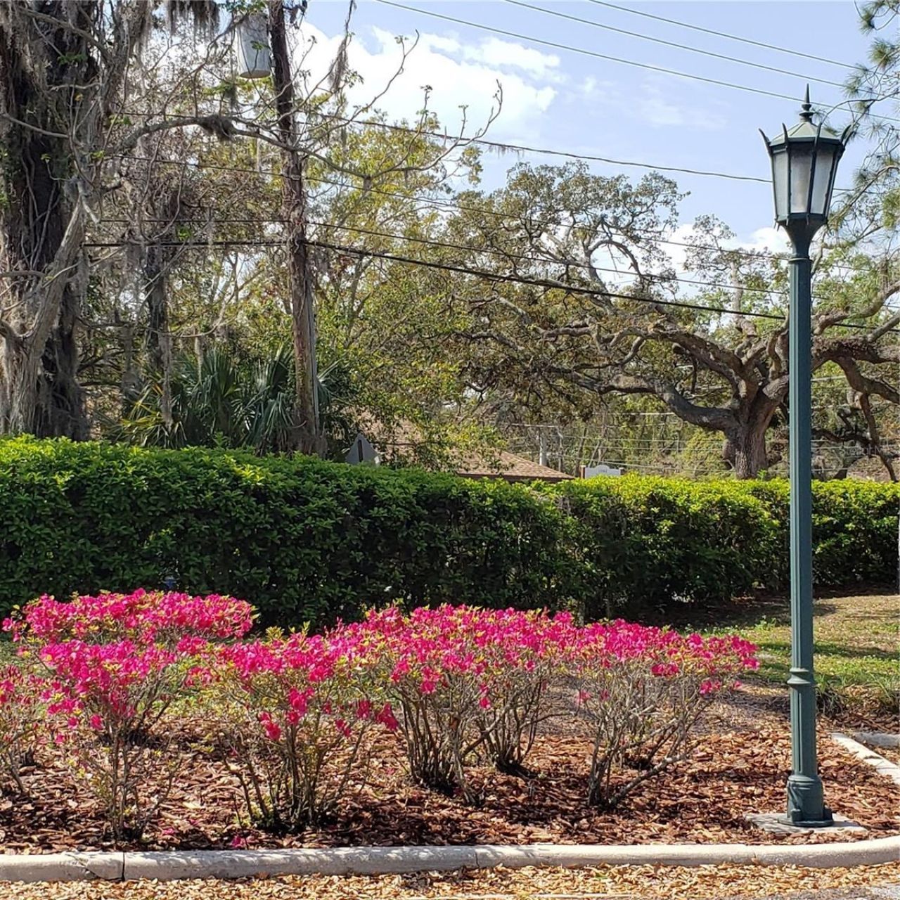 16013 N Florida Avenue, Lutz, FL 33549 Photo