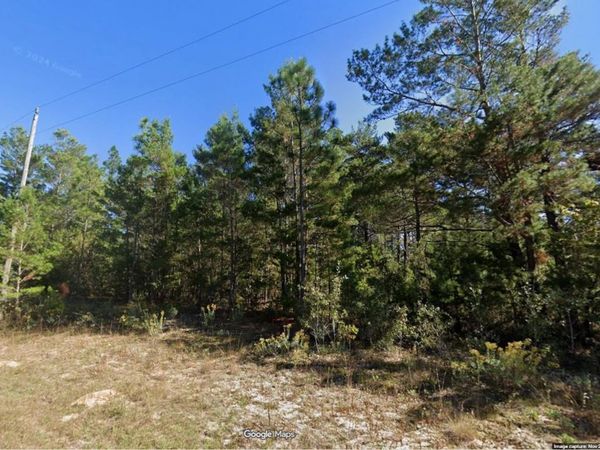 Lot 5 Unit 1 Blk 94 PINEHURST AVENUE, CHIPLEY, FL 32428