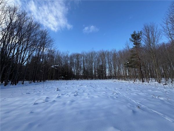 Carpenter Road, Angola, NY 14006