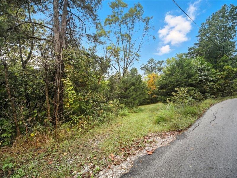 108 Buckeye Hills Road, Falmouth, KY 41040 Photo 18