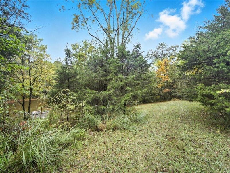 108 Buckeye Hills Road, Falmouth, KY 41040 Photo 20