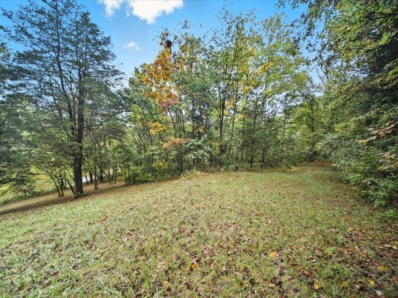 108 Buckeye Hills Road, Falmouth, KY 41040 Photo 21