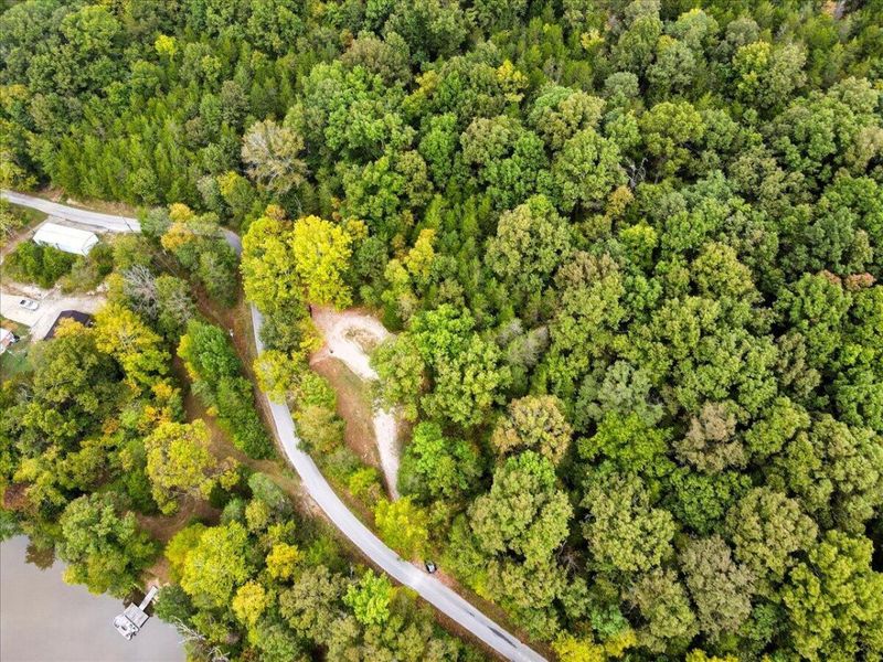 108 Buckeye Hills Road, Falmouth, KY 41040 Photo 28