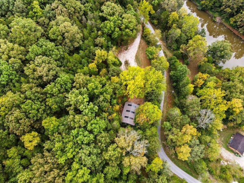 108 Buckeye Hills Road, Falmouth, KY 41040 Photo 29