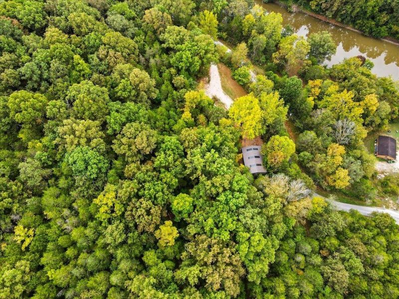 108 Buckeye Hills Road, Falmouth, KY 41040 Photo 30