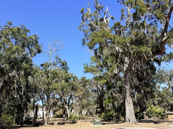 0 Maiden Creek Drive, Unit LOT #60, Waverly, GA 31565