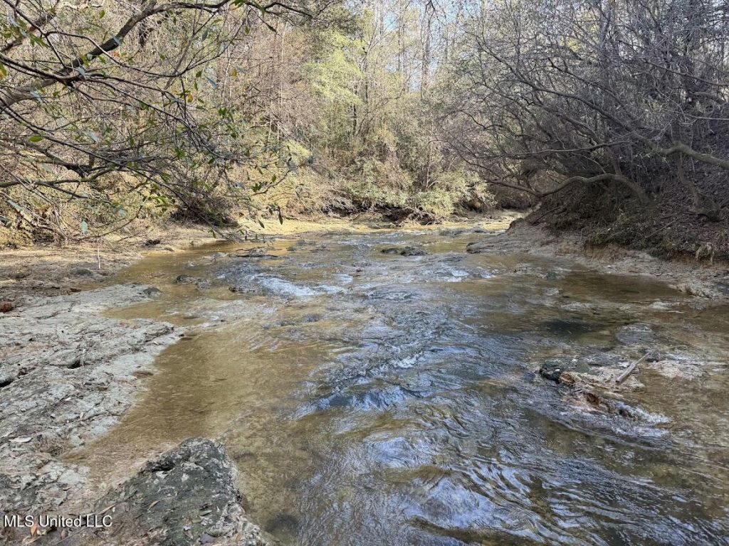 Pete Hickman Road, Saucier, MS 39574 Main Photo