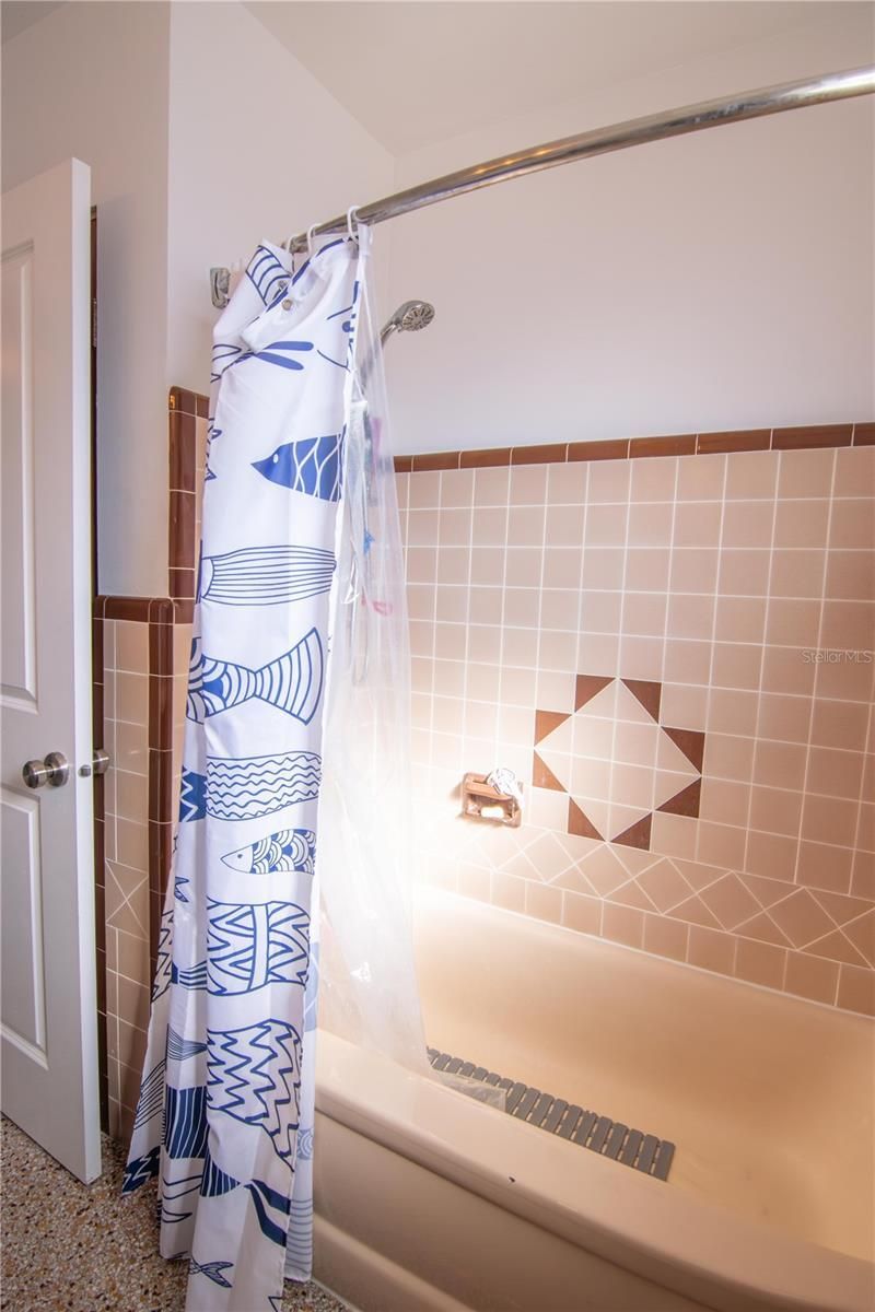 1129 39th Avenue Ne, Saint Petersburg, FL 33703 Photo