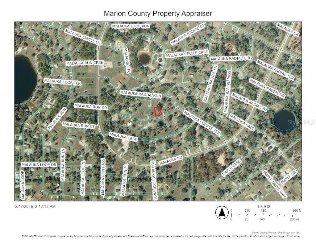 Malauka Run Drive, Ocklawaha, FL 32183 Main Photo