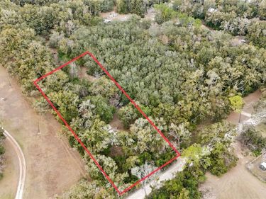 911 SW 5TH STREET, TRENTON, FL 32693