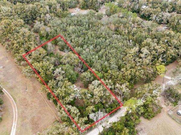 911 SW 5TH STREET, TRENTON, FL 32693