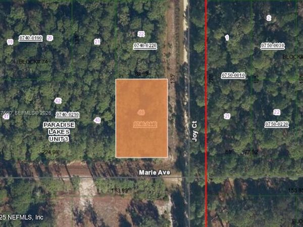 216 Marie Ave , Georgetown, FL 32139