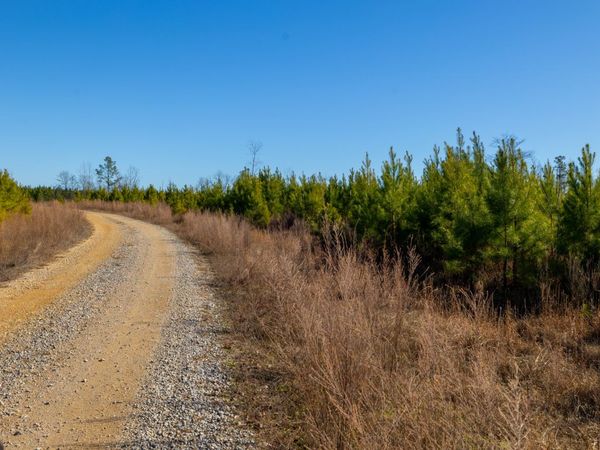 0 White Oak Rd, Stewart, TN 37175