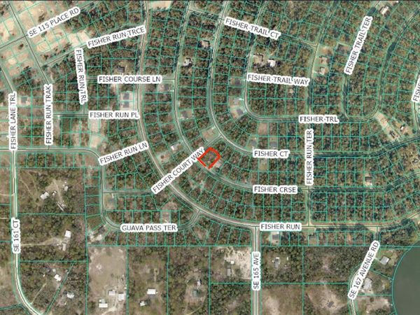 FISHER COURSE, OCKLAWAHA, FL 32183