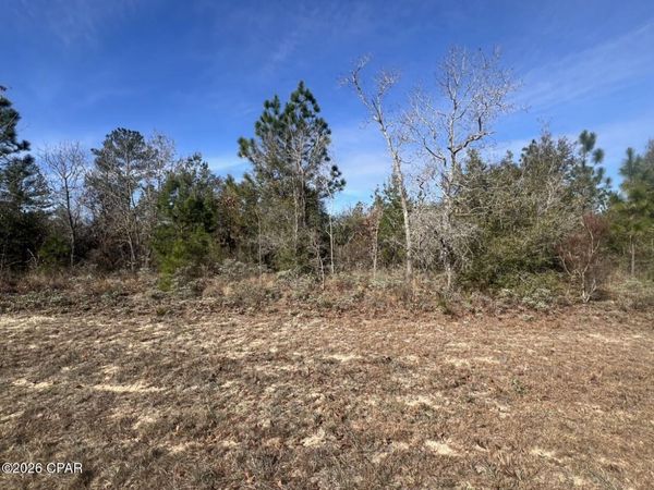0 Dandelion Drive , Chipley, FL 32428