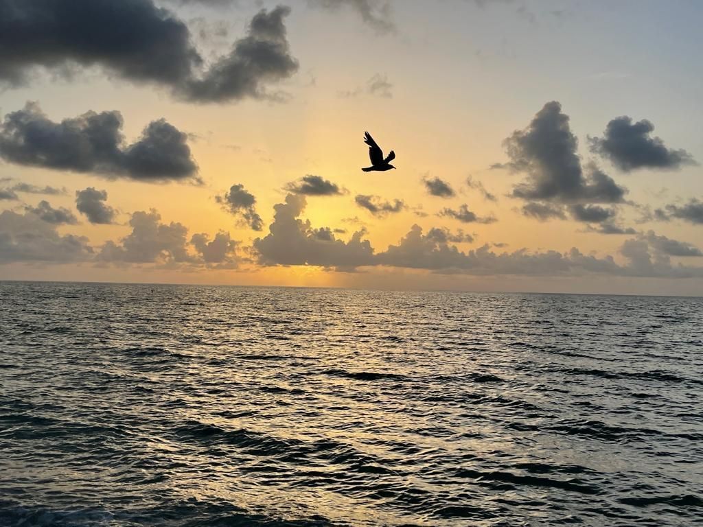 19201 Collins Avenue, Unit 337, Sunny Isles Beach, FL 33160 Photo