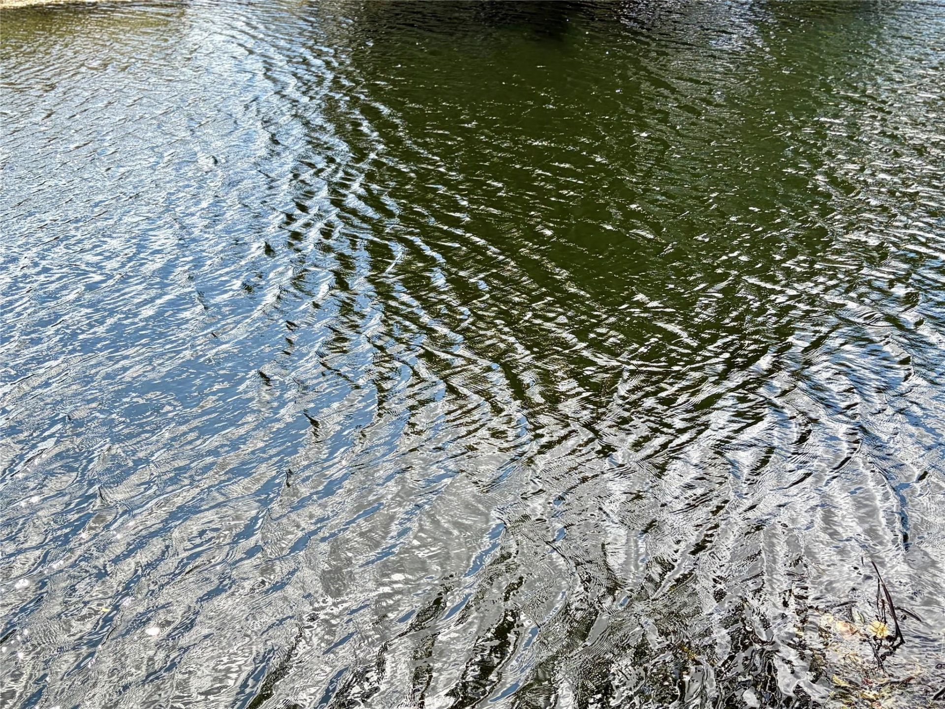 8980 NW 24th Place, Sunrise, FL 33322 Photo