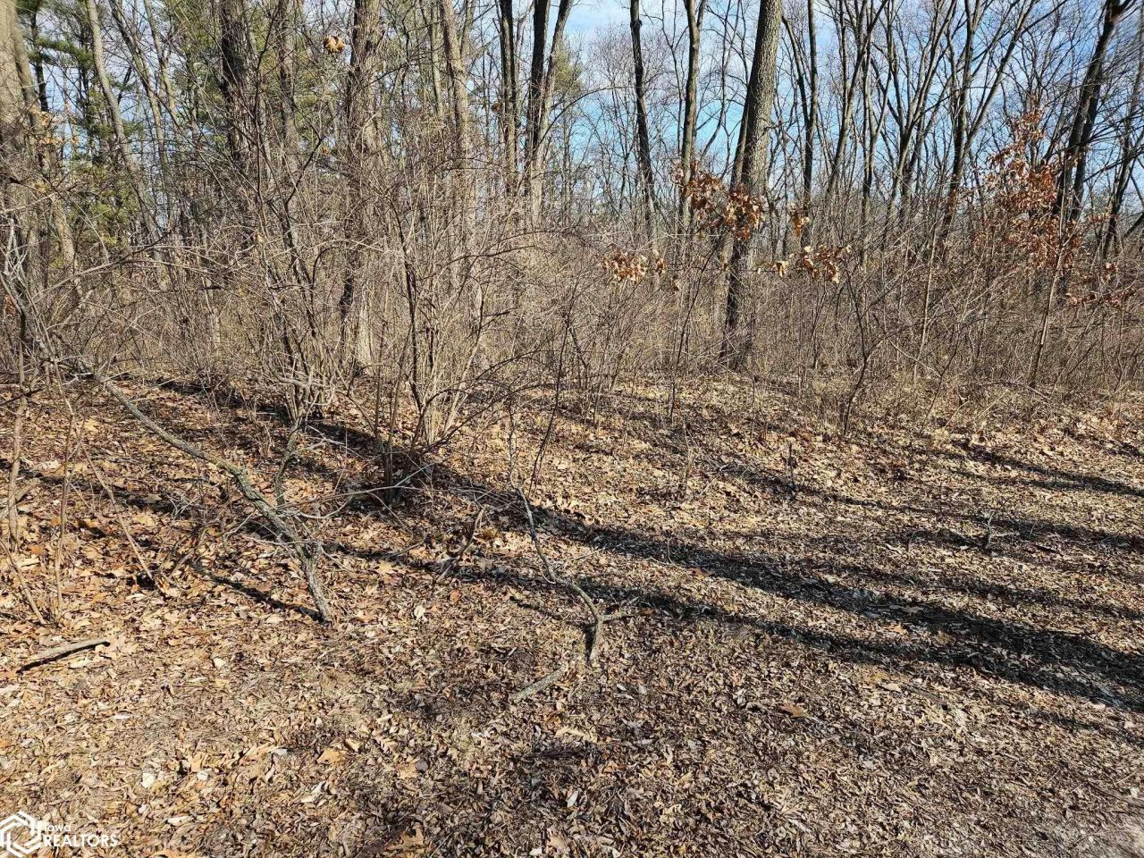 Pine Ridge Ln. Lot 6, Mount Pleasant, IA 52641 Main Photo