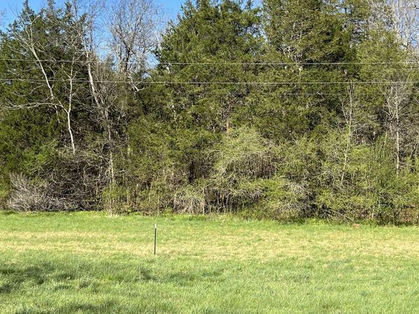 Tract 2 Spring Valley Road, Taft, TN 38488