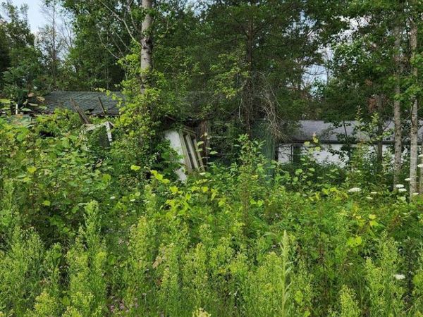 6935 S Pine Center Drive, Idlewild, MI 49642