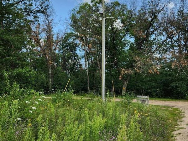 6935 S Pine Center Drive, Idlewild, MI 49642