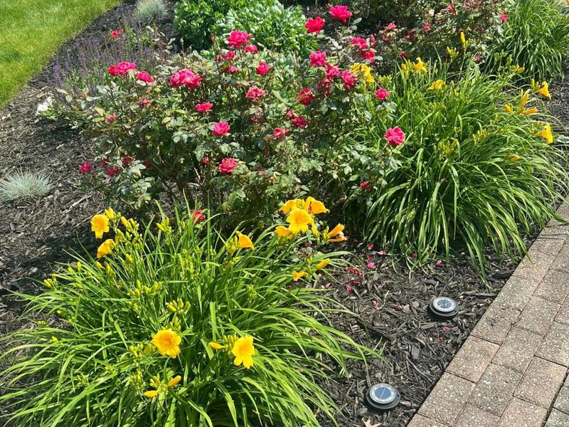 12766 Ardine Court, Pickerington, OH 43147 Photo 41