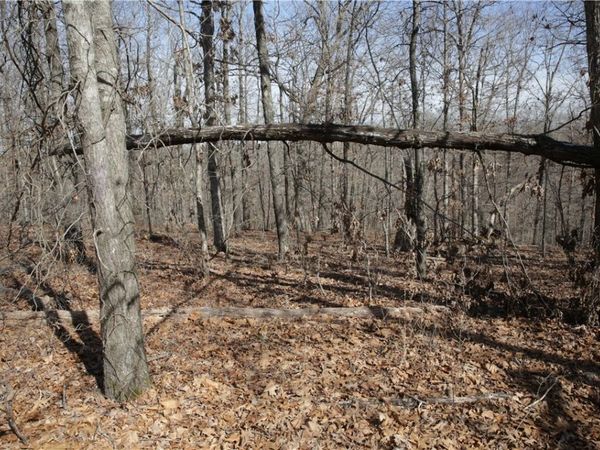 Lot 2 Jimmy Lane , Bella Vista, AR 72715