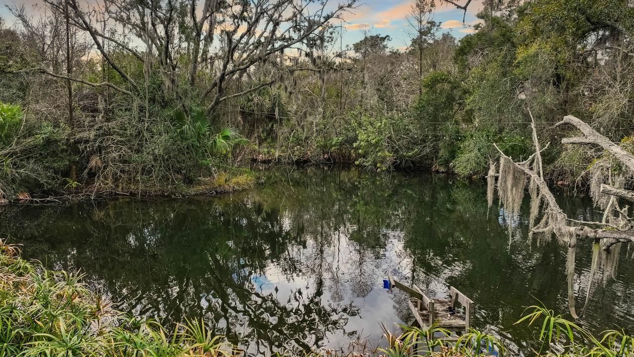 12730 Bullfrog Creek Road, Gibsonton, FL 33534 Photo